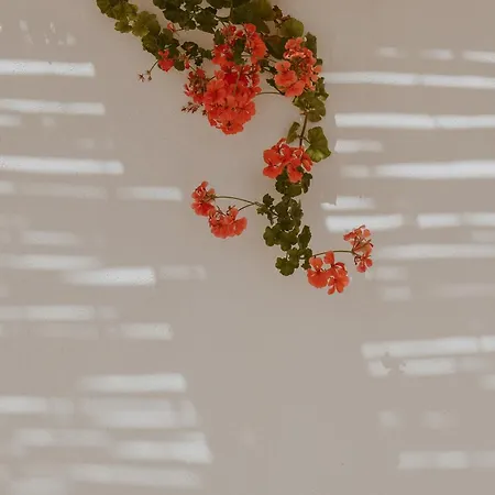 Feriehus Elena's House 30 Polignano a Mare