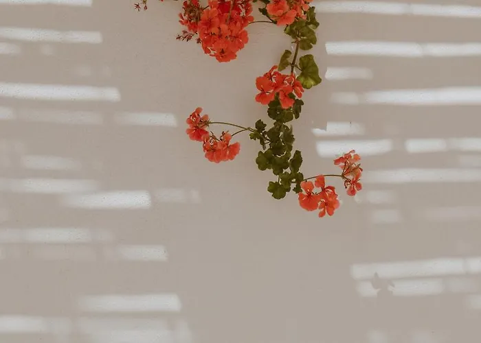 펜션 Elena's House 30 폴리나노 아마레